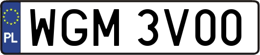 WGM3V00