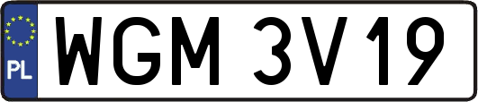 WGM3V19