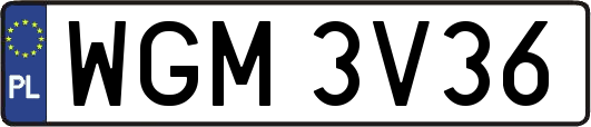 WGM3V36
