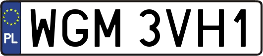 WGM3VH1