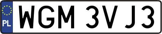 WGM3VJ3