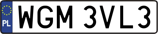 WGM3VL3