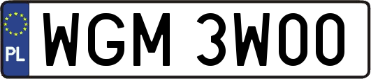 WGM3W00