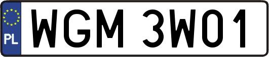 WGM3W01