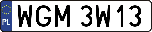 WGM3W13