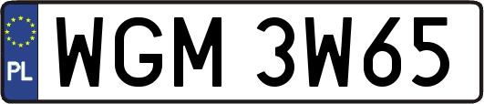WGM3W65