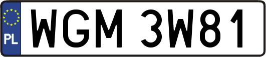 WGM3W81