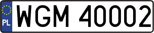 WGM40002