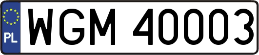 WGM40003