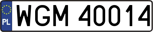 WGM40014