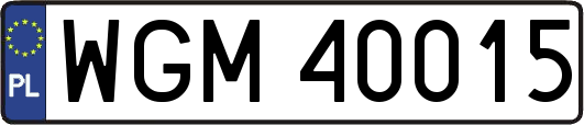 WGM40015
