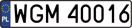 WGM40016