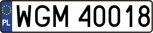 WGM40018