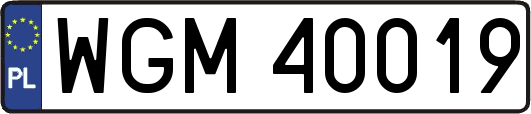 WGM40019