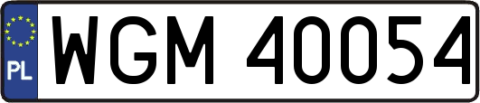 WGM40054