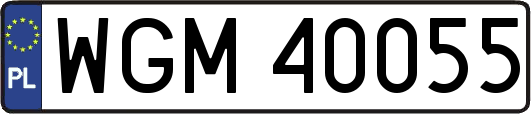 WGM40055