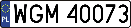 WGM40073
