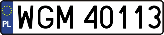WGM40113
