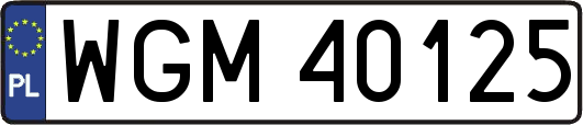 WGM40125