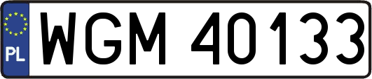 WGM40133