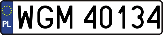 WGM40134
