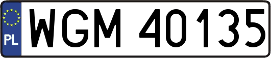 WGM40135
