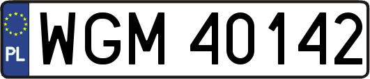 WGM40142