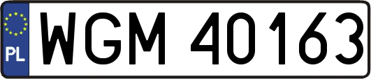 WGM40163