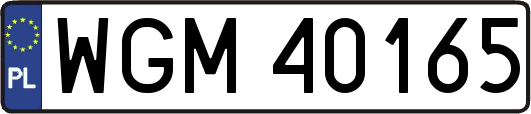 WGM40165