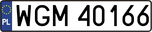 WGM40166