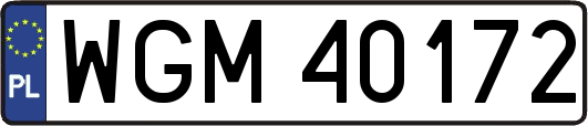 WGM40172