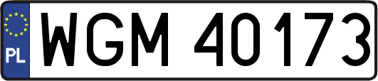 WGM40173