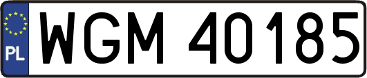 WGM40185