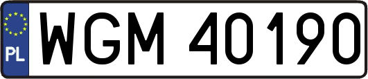WGM40190