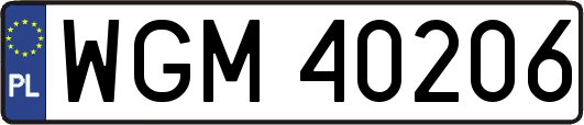 WGM40206