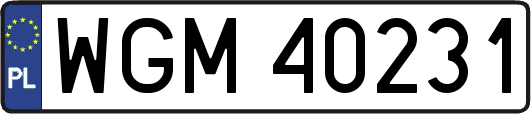 WGM40231