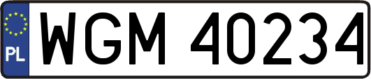 WGM40234