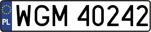 WGM40242