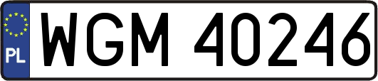 WGM40246