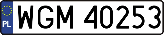 WGM40253