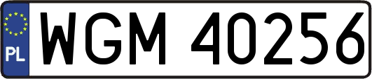 WGM40256