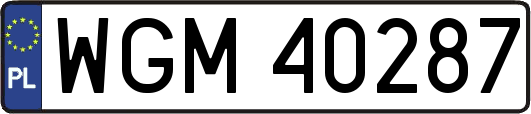 WGM40287