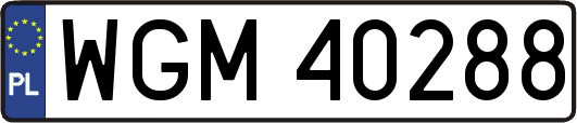 WGM40288