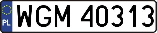WGM40313