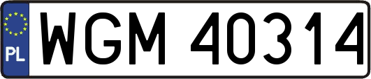 WGM40314