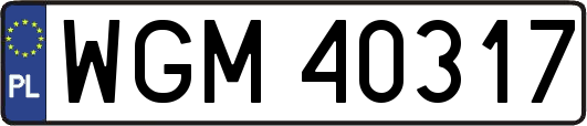 WGM40317