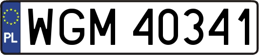 WGM40341