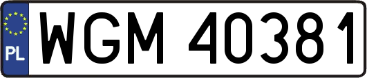 WGM40381