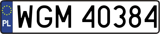 WGM40384