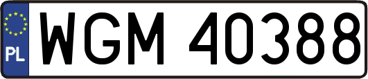 WGM40388
